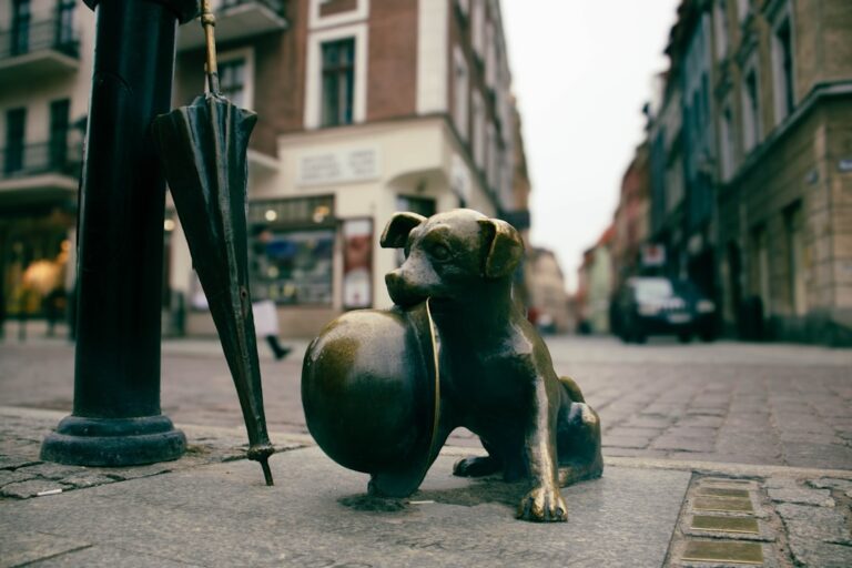 Buldog amerykański - poznaj charakter mniej znanej rasy.