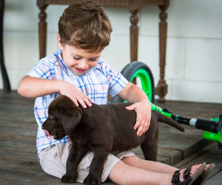 Jakie warzywa i owoce może jeść buldog francuski? Sprawdzone dodatki do diety.