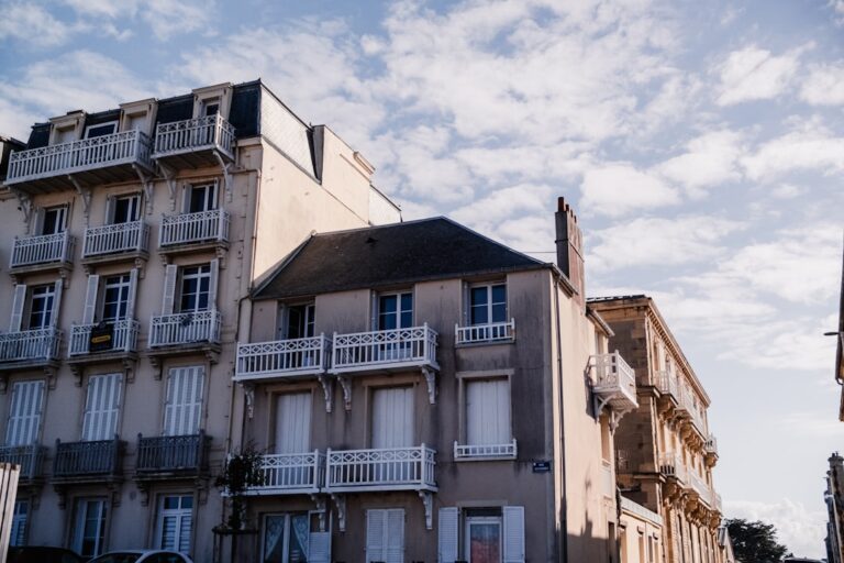 Buldog angielski w mieszkaniu: Czy to dobry pomysł dla zapracowanej osoby?