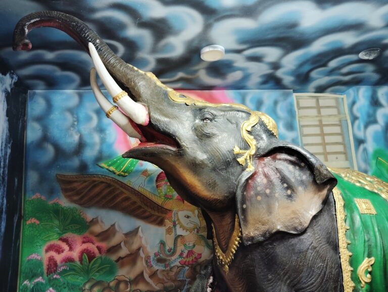 Buldog francuski i problemy z uszami: Co robić?